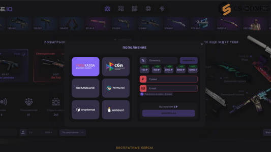 CS2CASE