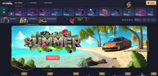SKINBOX