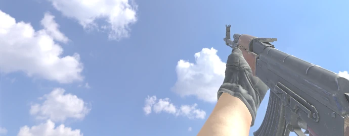 B1T