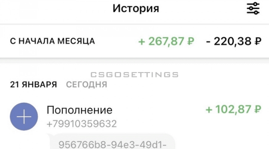 получение оплаты SkinСashier