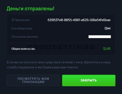 подтверждение оплаты SkinСashier