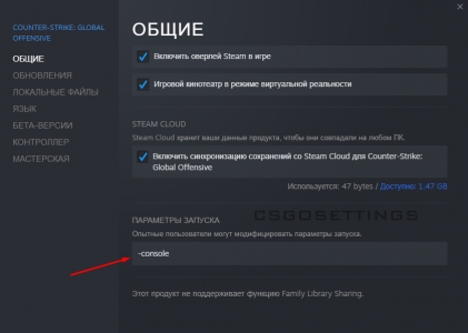 включаем консоль через параметры запуска csgo