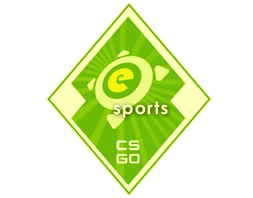 eSports 2014 Summer