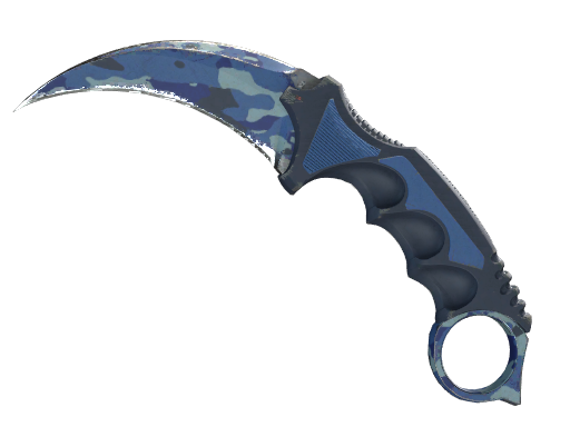 Karambit | Bright Water после полевых испытаний для CS2