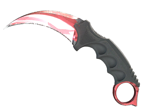 Karambit | Slaughter после полевых испытаний для CS2