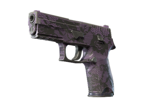 P250 | Plum Netting после полевых испытаний для CS2