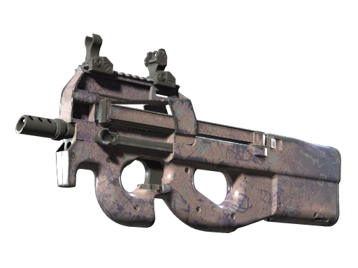 P90 | Wash me после полевых испытаний для CS2