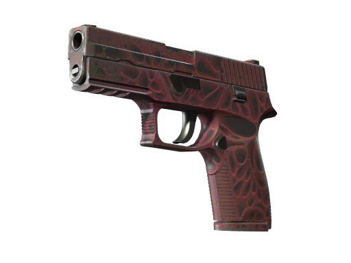 P250 | Contaminant после полевых испытаний для CS2