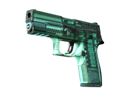 P250 | X-Ray после полевых испытаний для CS2
