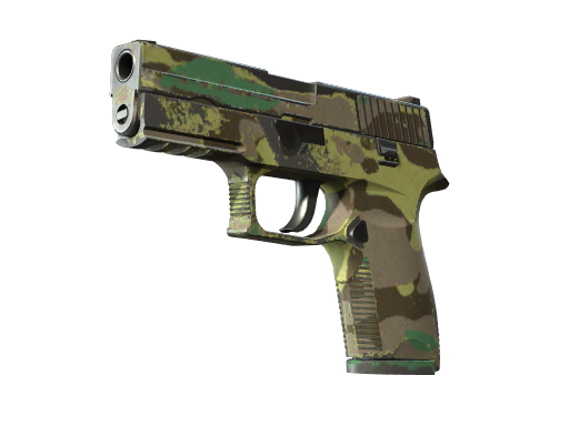 P250 | Boreal Forest после полевых испытаний для CS2
