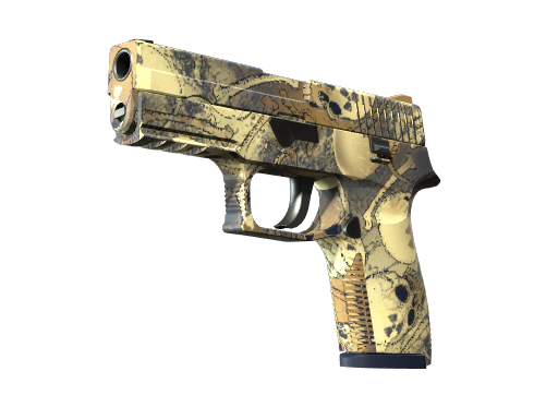 P250 | Contamination немного поношенное для CS2