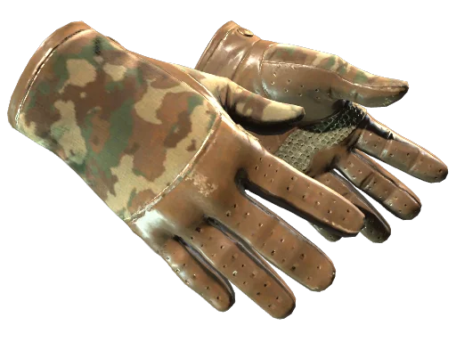 Driver Gloves | Convoy после полевых испытаний для CS2