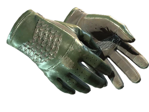 Driver Gloves | Racing Green после полевых испытаний для CS2
