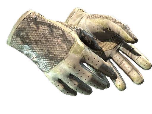 Driver Gloves | King Snake закаленное в боях для CS2