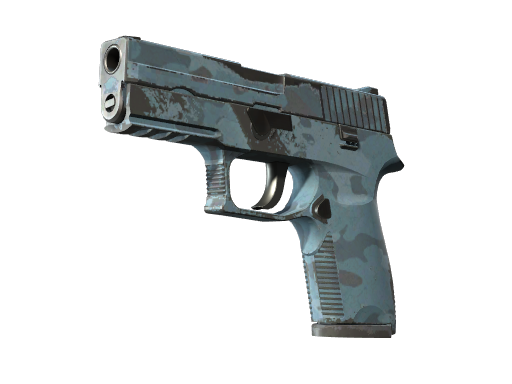 P250 | Forest Night после полевых испытаний для CS2