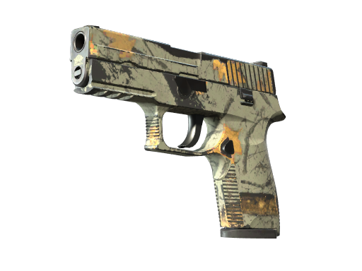 P250 | Modern Hunter поношенное для CS2