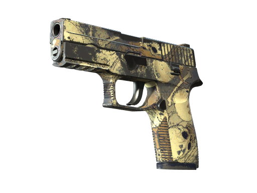 P250 | Contamination поношенное для CS2