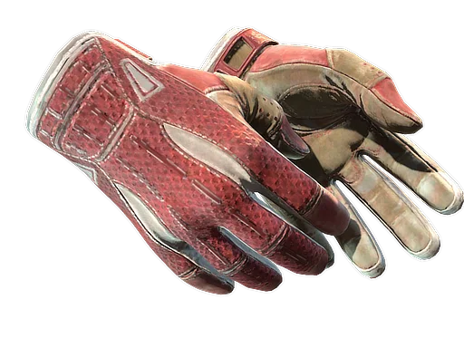 Sport Gloves | Slingshot после полевых испытаний для CS2