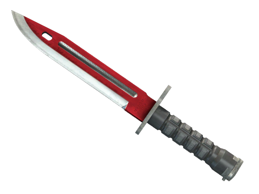 Bayonet | Autotronic немного поношенное для CS2