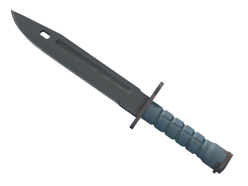 Bayonet | Night немного поношенное для CS2