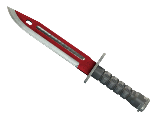 Bayonet | Autotronic после полевых испытаний для CS2