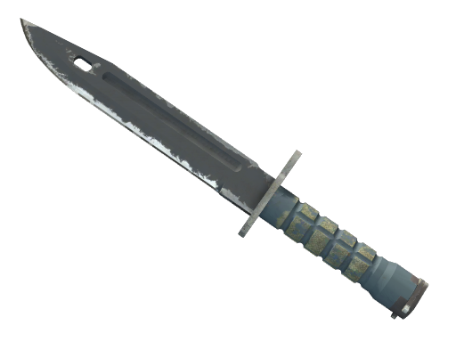 Bayonet | Night после полевых испытаний для CS2