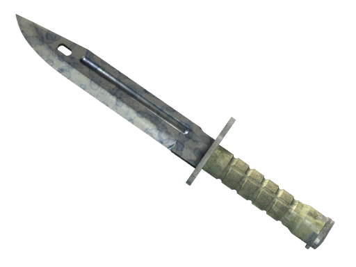 Bayonet | Stained поношенное для CS2