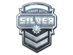 Silver (Foil) для CS2