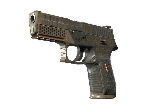 P250 | Bullfrog после полевых испытаний для CS2