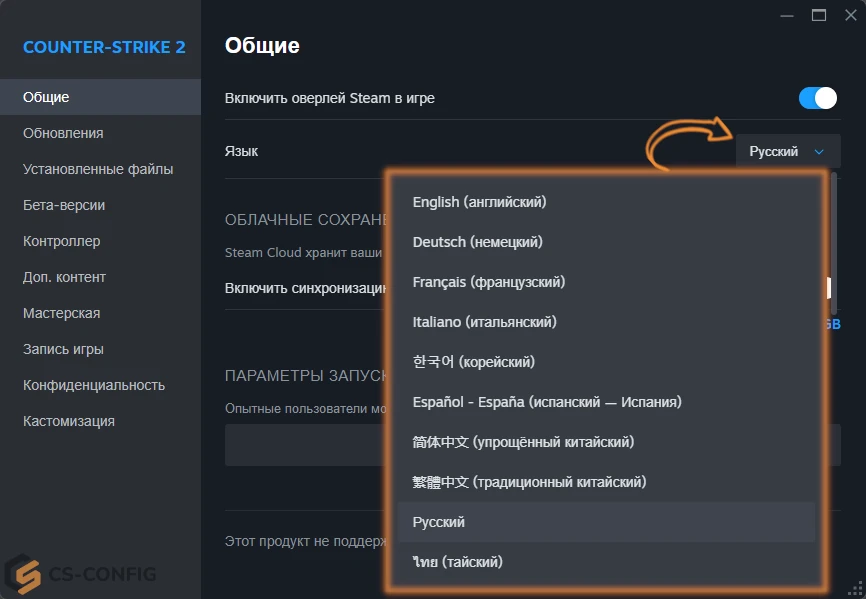 Выбор языка в CS 2
