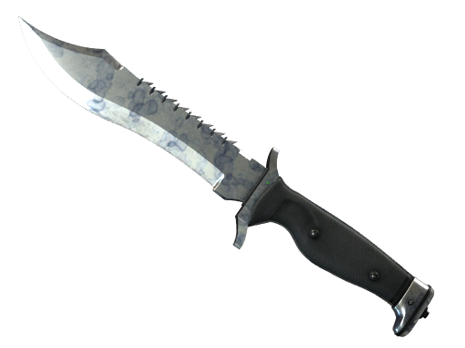 Bowie Knife | Stained поношенное для CS2