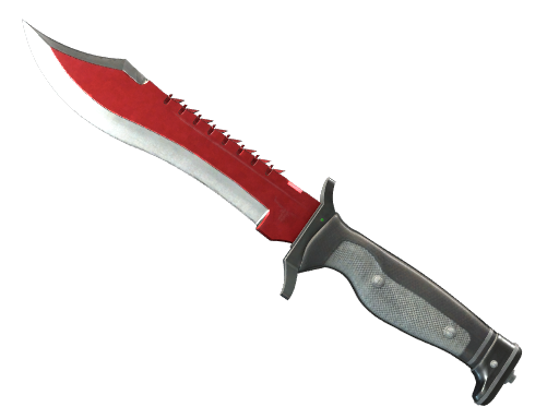 Bowie Knife | Autotronic после полевых испытаний для CS2