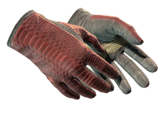 Driver Gloves | Dragon Fists поношенное для CS2