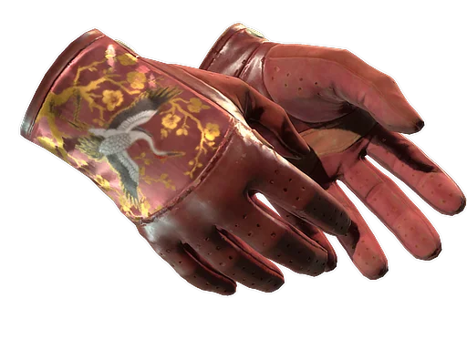 Driver Gloves | Brocade Crane после полевых испытаний для CS2
